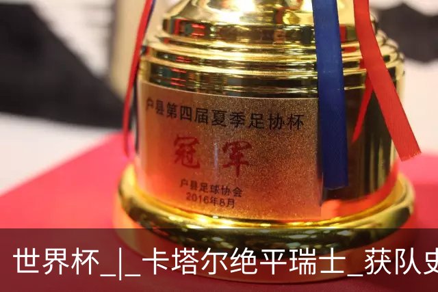 世界杯 | 卡塔尔绝平瑞士 获队史首个世界杯积分